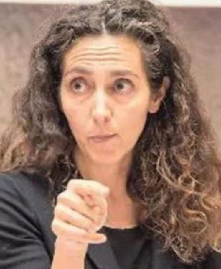 Referendum Strada Sud, Pigolotti pronto a lasciare i garanti
