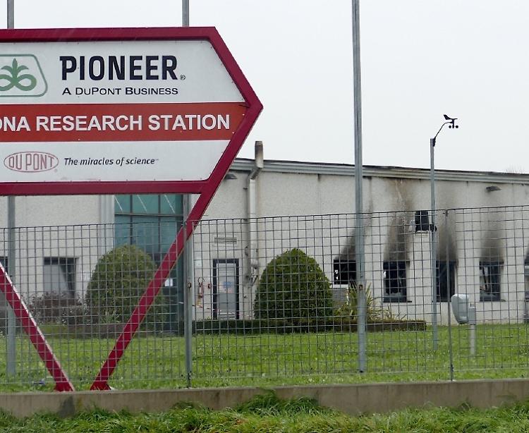 Monsanto, Pioneer e anarchici: il sospetto di un'unica mano