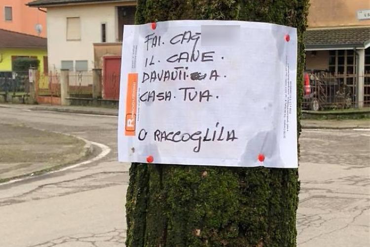 Cani, ‘deiezioni ovunque’: e i kit sono gratis