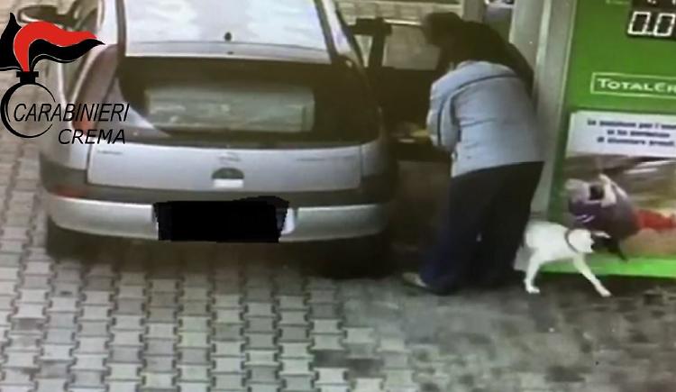 Abbandona il cane al distributore ma i filmati delle telecamere lo inchiodano