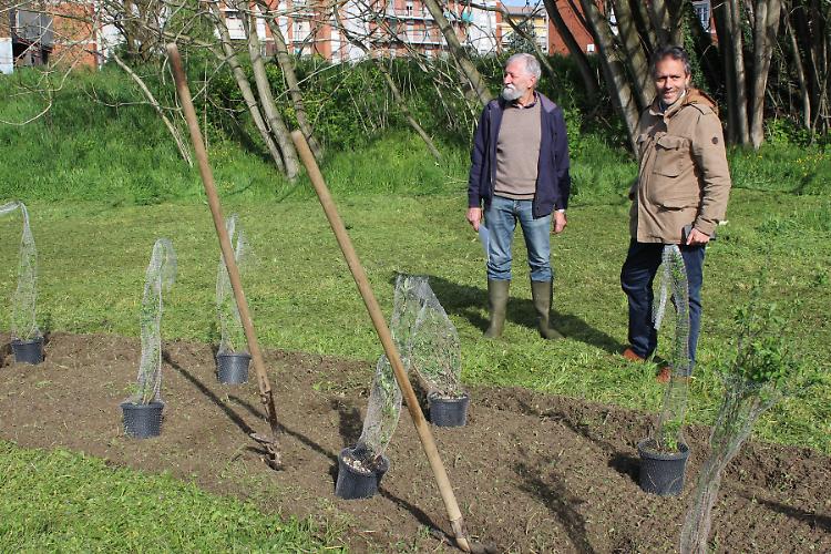 Prende forma il “Giardino delle Farfalle”