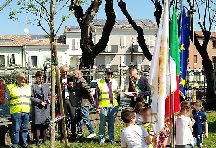 Dono del Rotary: tigli antismog alle scuole
