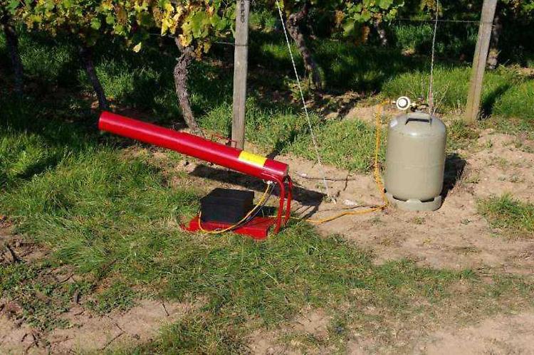 Cannoni a gas spaventa  uccelli e cinghiali, il sindaco: sì può ma solo di giorno