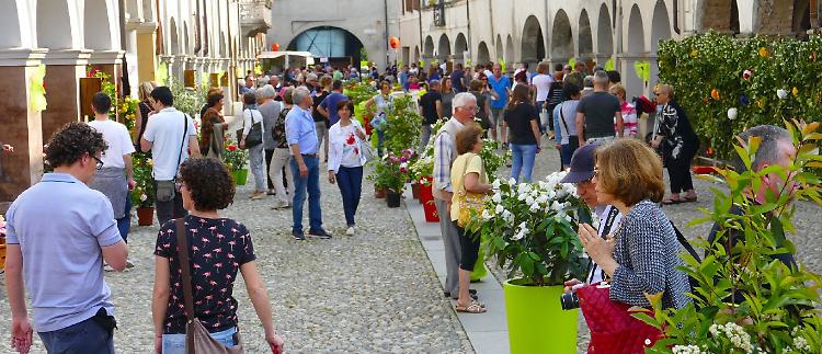 Castelponzone, borgo in fiore per festeggiare  le mamme