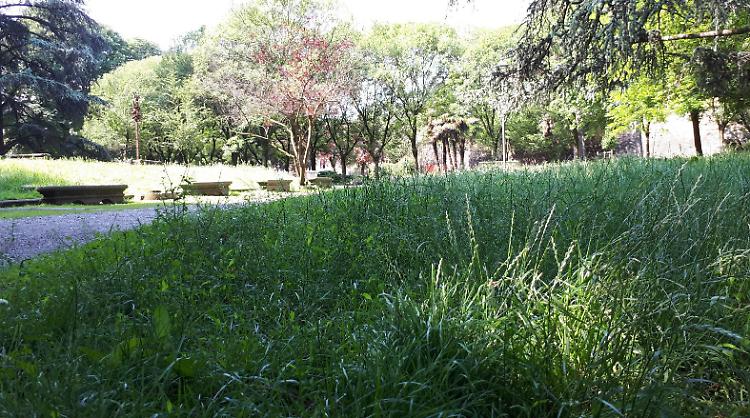 Porta Serio, "Parco fuori controllo"