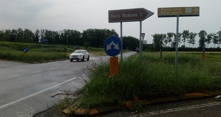 Erba alta e pericoli, strade provinciali invase