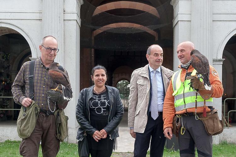 Il ‘bird control’ funziona: già 300 piccioni in meno 