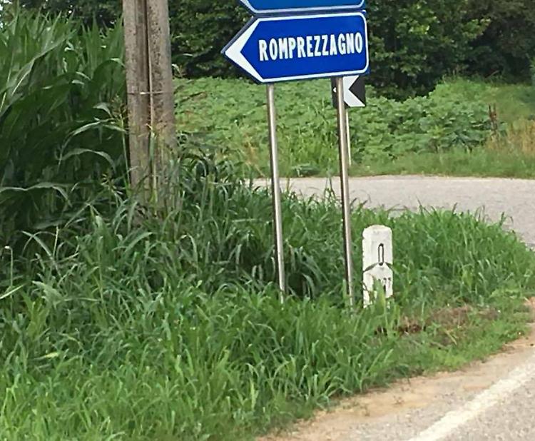 Incrocio a rischio per l'erba alta