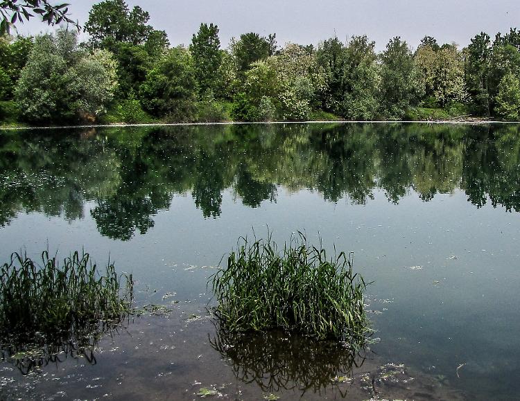 Laghetto dei Riflessi, tuffi vietati: presidio delle guardie ecologiche
