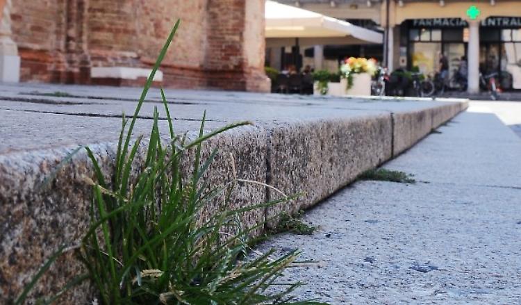 Erba tra il porfido e buche. Degrado e proteste in piazza Duomo