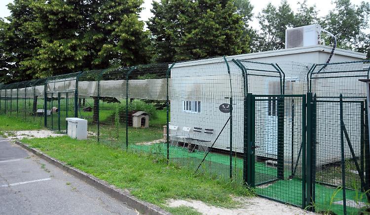 E’ piena emergenza, ma  il gattile è costretto a chiudere