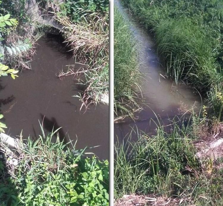 La denuncia: 'Acque nere nella zona del depuratore'