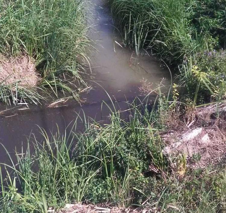 Acque nere nei fossi: ‘Ma il depuratore funziona’