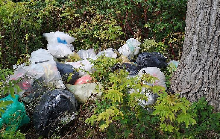 Casa ristrutturata, scarti abbandonati nell'area verde