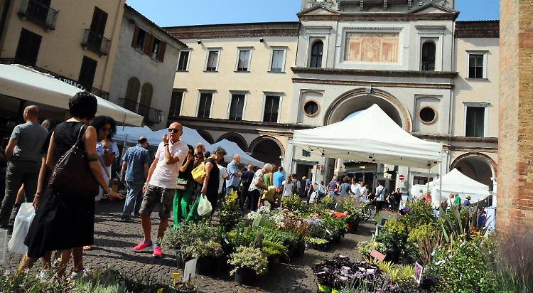 'Invasioni botaniche' nelle vie del passeggio