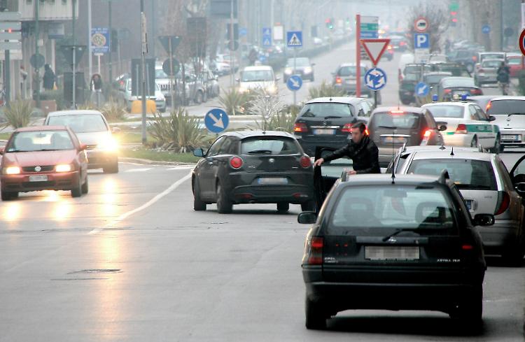 'Dicembre pazzo tra allarme smog, siccità e fioriture anticipate'