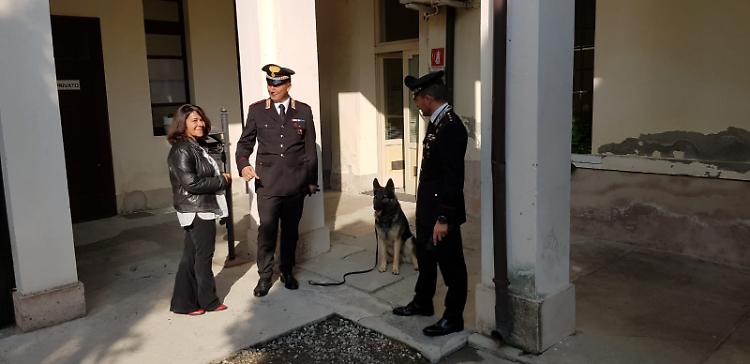 Carabinieri con i cani antidroga a scuola