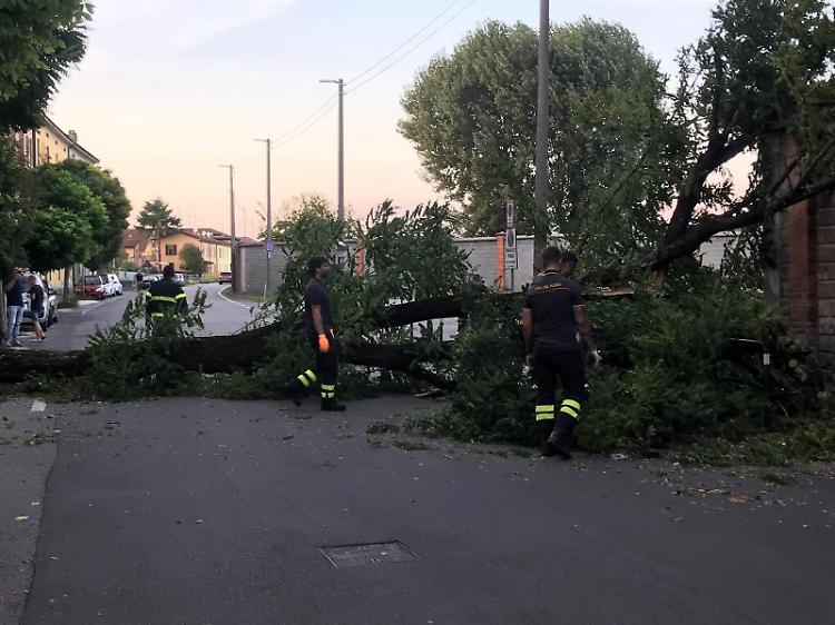 Vento forte sulla città e in provincia, vigili del fuoco mobilitati