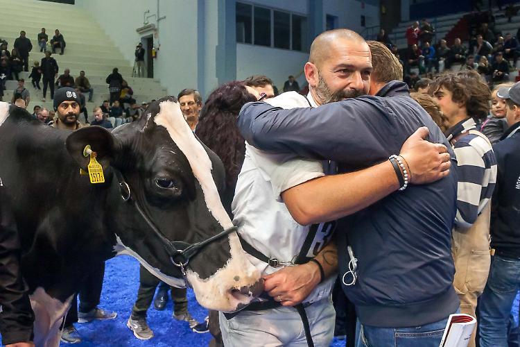 Mostra nazionale Frisona e Jersey, tutte le classifiche