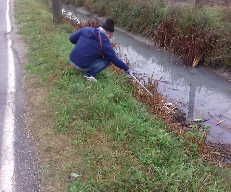 Inquinamento in un canale di scolo del Navarolo 