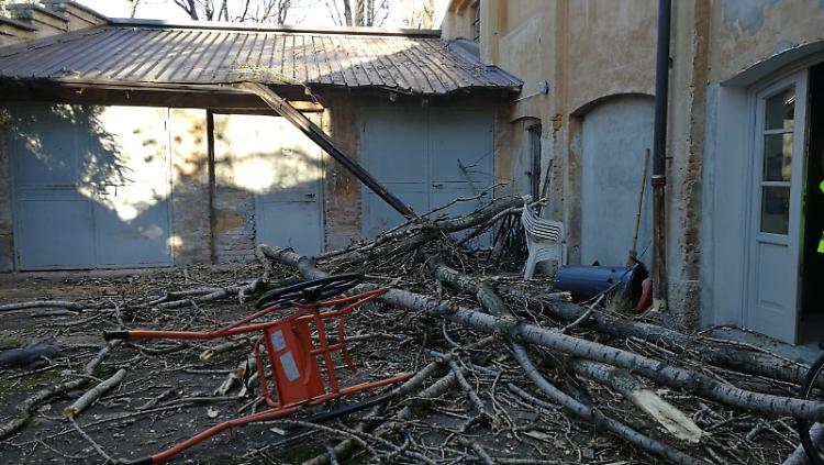Cade un pioppo di 35 metri, danni al tetto del Comune