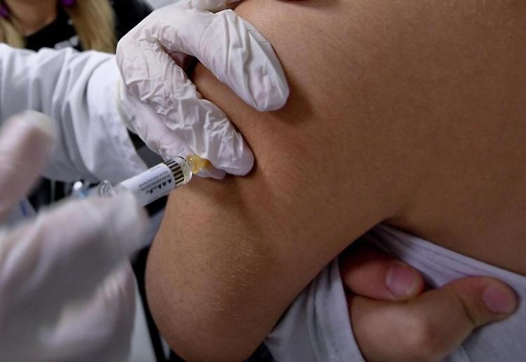 Vaccini, 