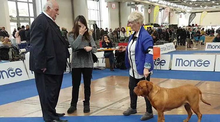 Concorso CANE