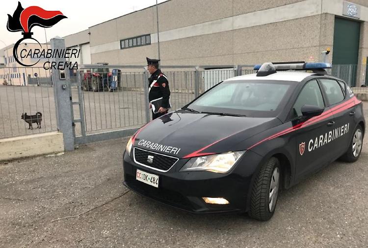 Tentato furto in azienda, in manette 25enne ucraino