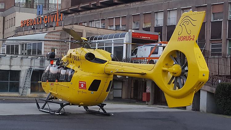 Bambina di 11 anni aggredita dai suoi cani, ferite serie