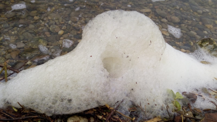 Sversamento nel fiume Serio