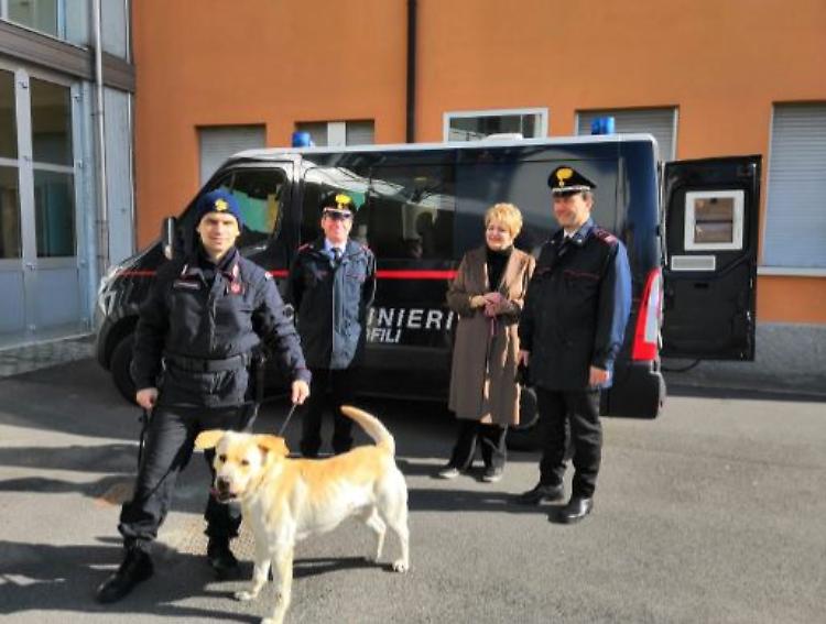 Controllo anti-droga al San Giovanni Bosco, scuola pulita