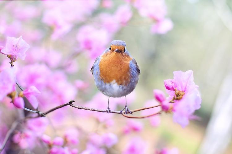 Ultimo freddo al Sud, poi scoppia la primavera Edoardo Ferrara di 3bmeteo.com: “ultima irruzione fredda al Sud con neve a quote basse, ma tra martedì e giovedì anticiclone e temperature diurne da apri