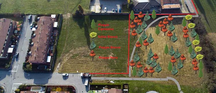Boschetto, sessanta nuovi alberi: il parco sarà dedicato a Romolo
