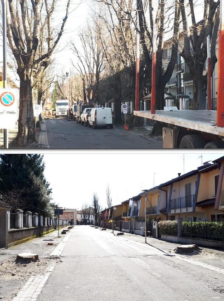Via Bacchetta, polemica politica rovente
