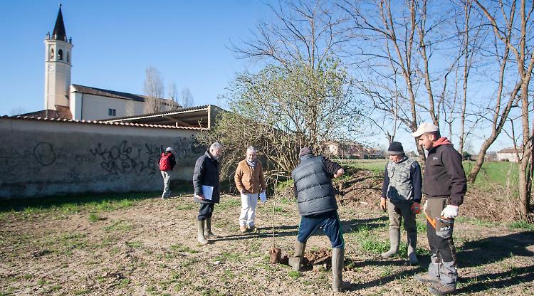 Boschetto, ecco il parco di Romolo
