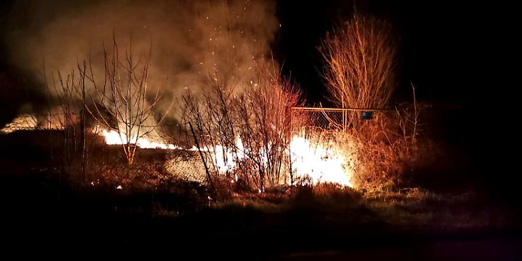Incendio di sterpaglie, vigili del fuoco in azione