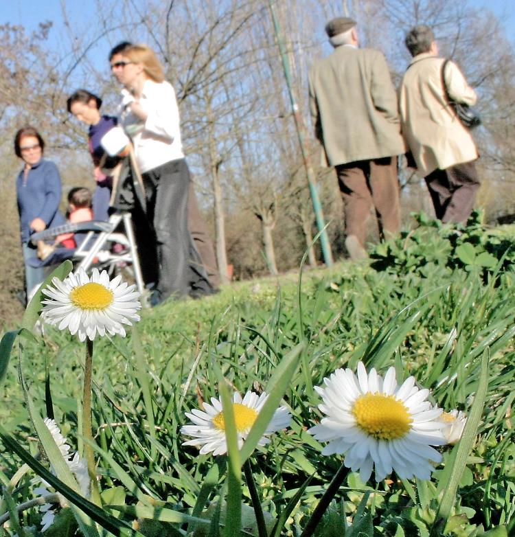 Venerdì 14 raggiunti i 23,5 gradi