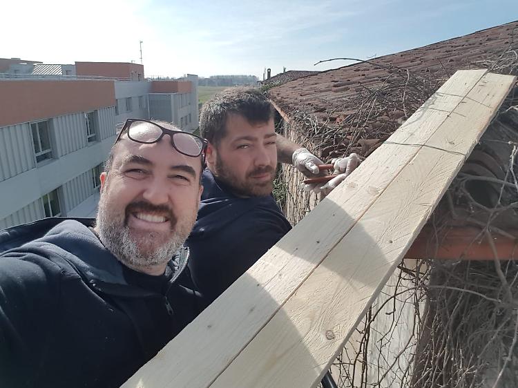 La gatta Stella ora è al sicuro