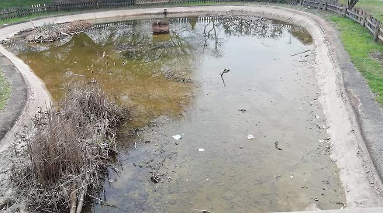 laghetto del parco Bonaldi