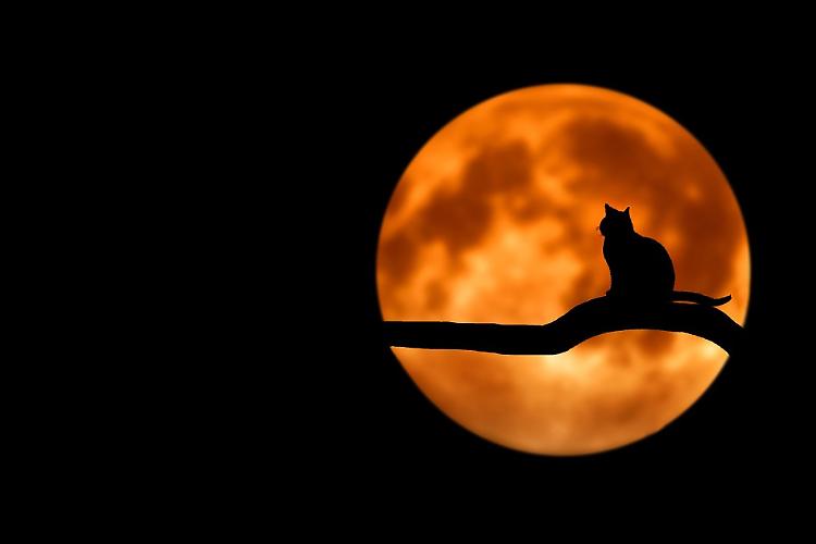 Il 20 marzo arriva la super Luna di primavera