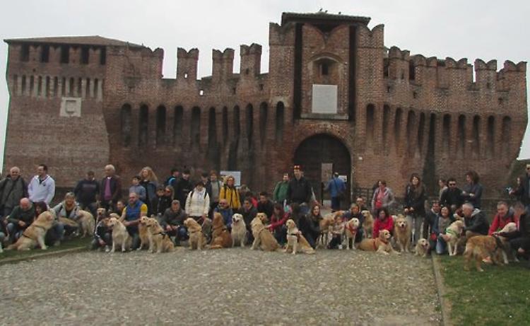Raduno dei golden retriever, assalto dorato alla Rocca