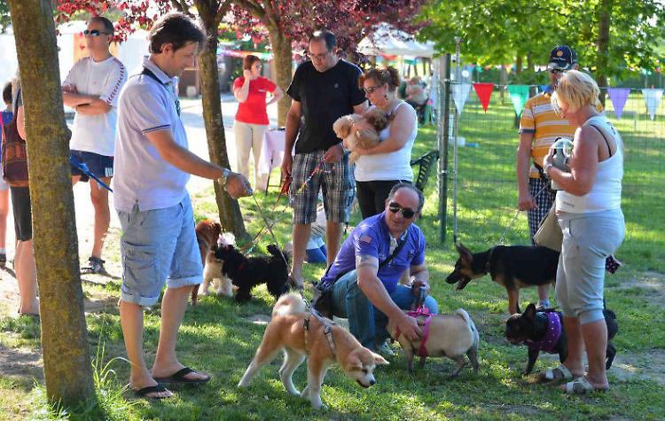 Pet Therapy, nuova palestra