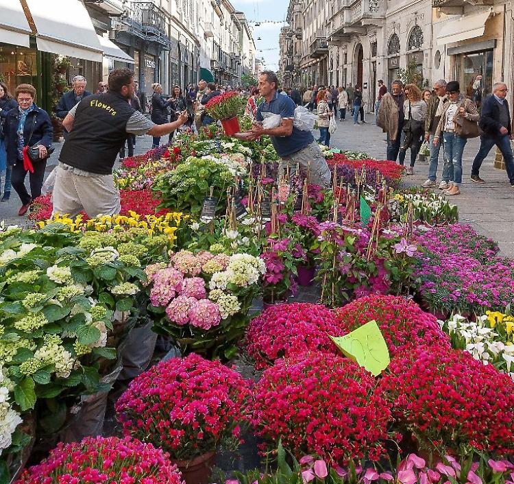 Sospeso dal Comune l'evento Invasioni Botaniche: cosa ne pensi?