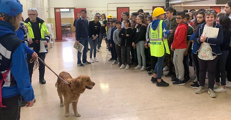 Castelvetro, fuoco al polo scolastico. Allievi in campo