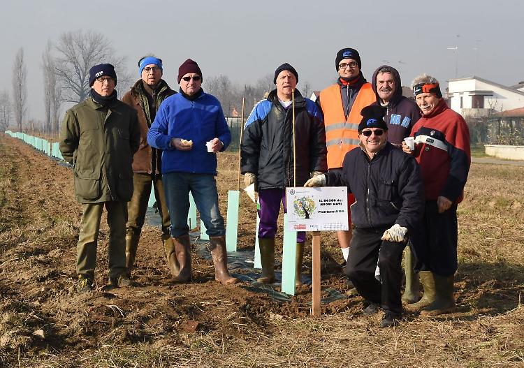 Il bosco regalato dai volontari