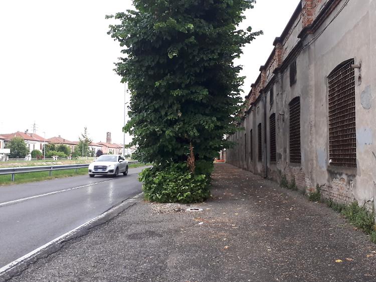 Piste ciclabili: "Comune rimandato"