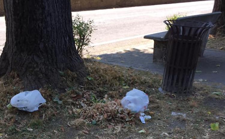 Cestini vuoti e rifiuti sull’erba