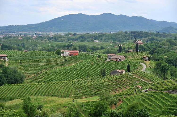 Le colline del Prosecco diventano patrimonio Unesco
