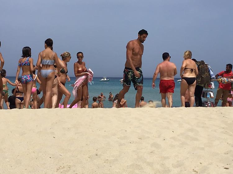 Magnini