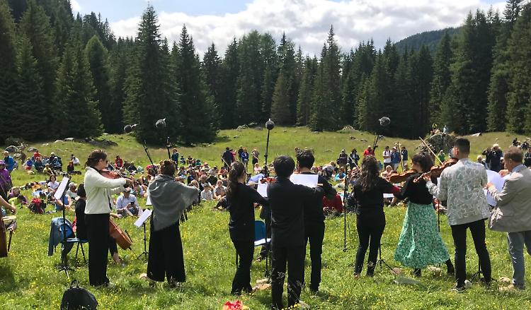 Paneveggio, dopo la devastazione nella foresta le voci dei violini